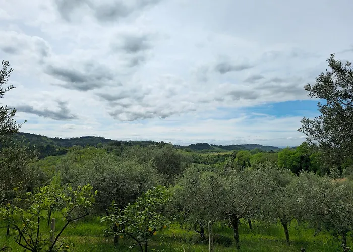 Le Cicale Appartamento