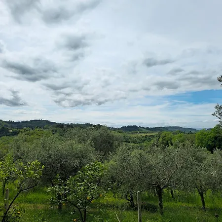 Le Cicale Appartamento