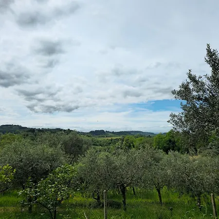 Le Cicale * Pesaro